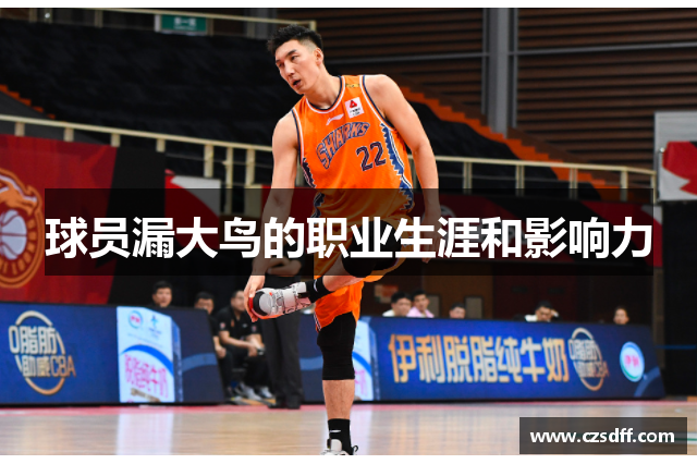 球员漏大鸟的职业生涯和影响力