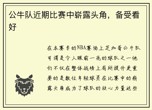 公牛队近期比赛中崭露头角，备受看好